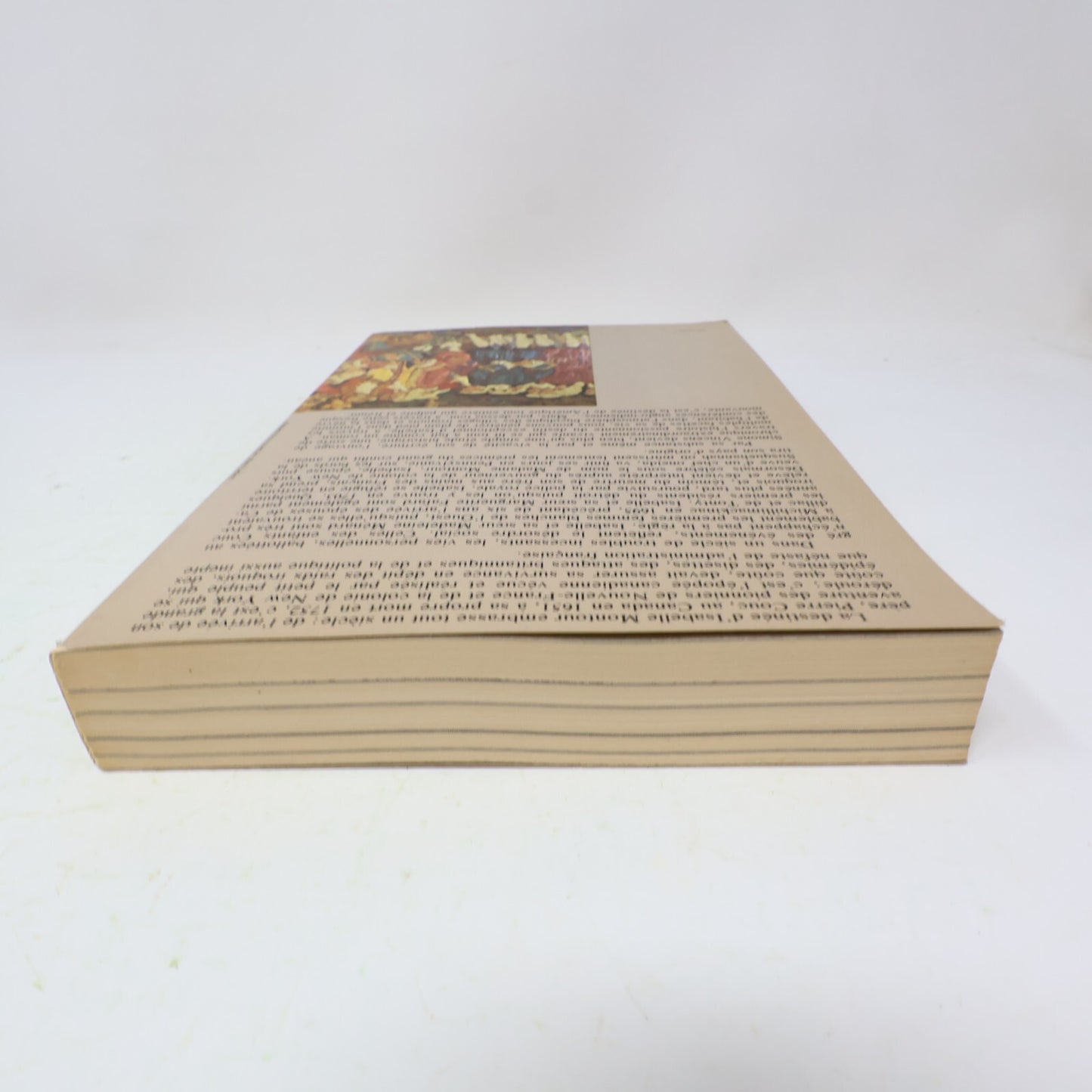 1979 Madame Montour et son Temps Simone Vincens Québec Amérique Biographie Livre