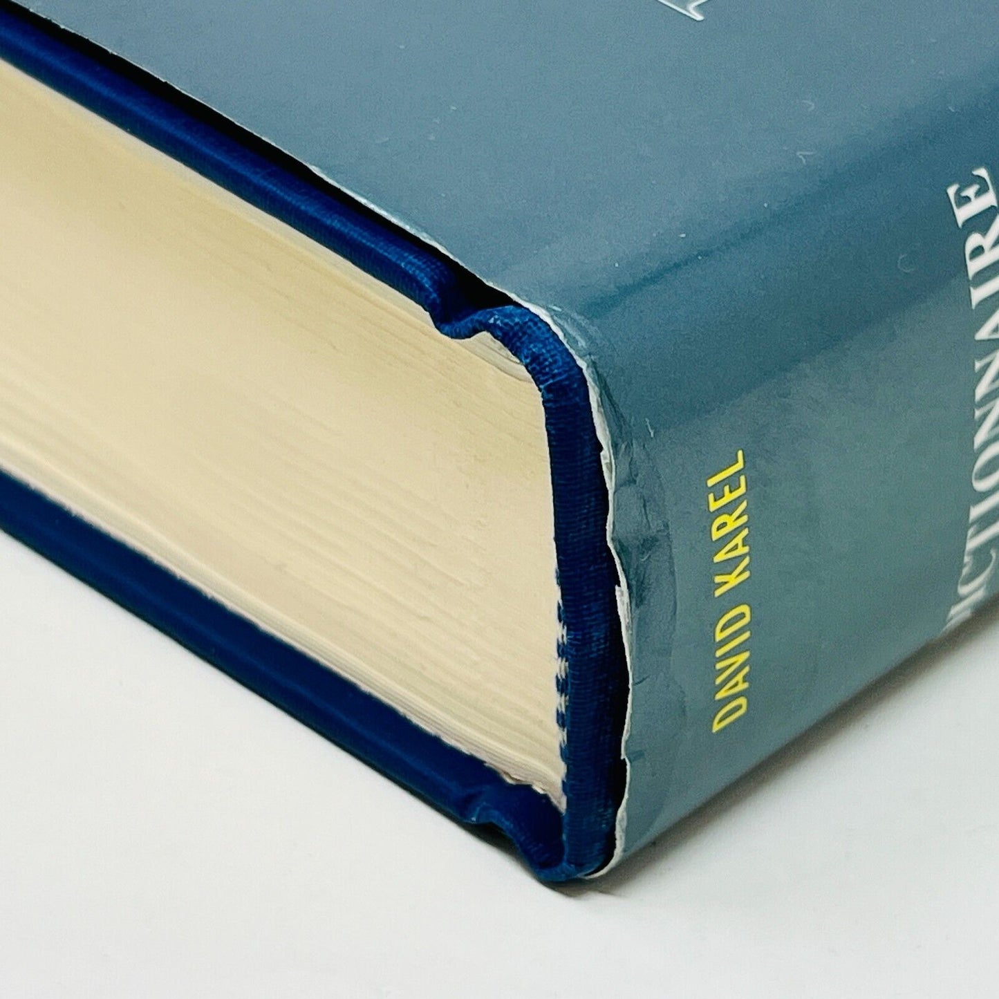 Dictionnaire des Artistes de Langue Française en Amérique du Nord de David Karel