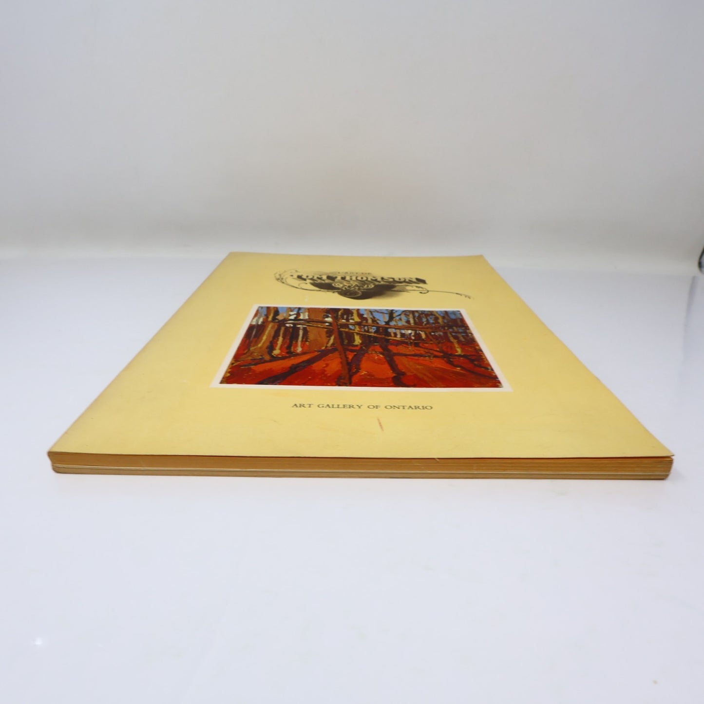 L'Art de Tom Thomson Art Gallery of Toronto 1972 Catalogue d'Exposition Français