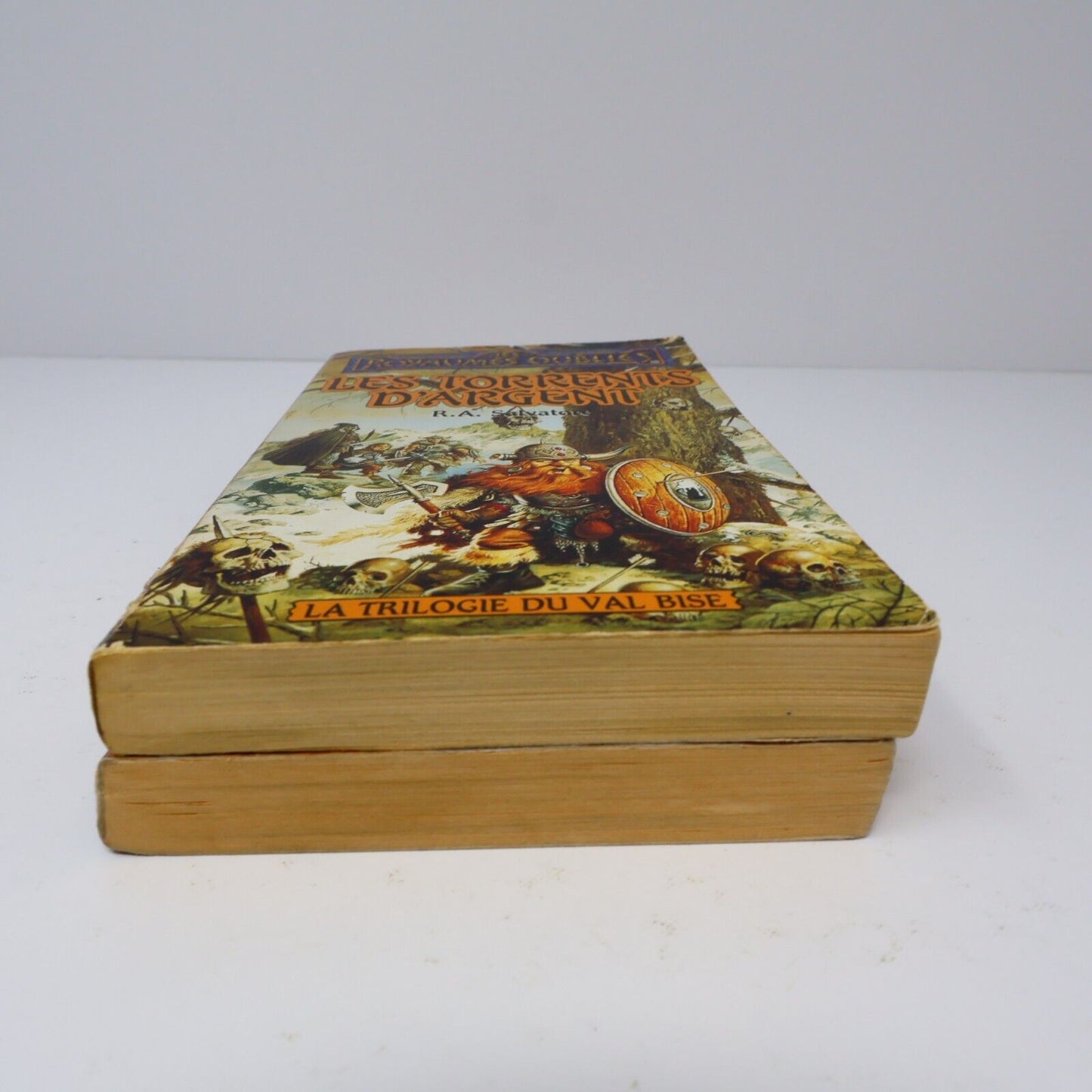 Lot 2 Livres Royaumes Oubliés #16-17 La Trilogie du Val Bise Fantasy Français PB