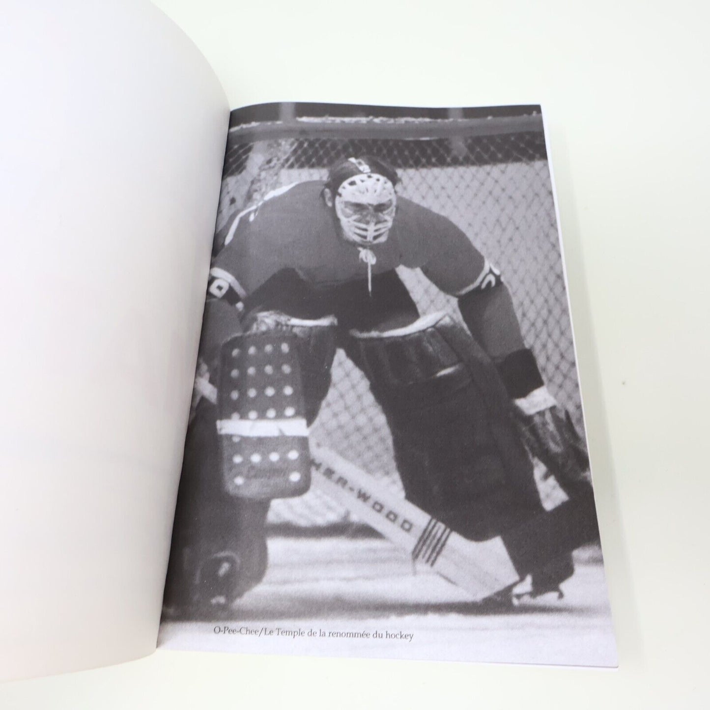 2020 Le Match Ken Dryden Hockey Sport ADA Français Paperback Livre 2020s French