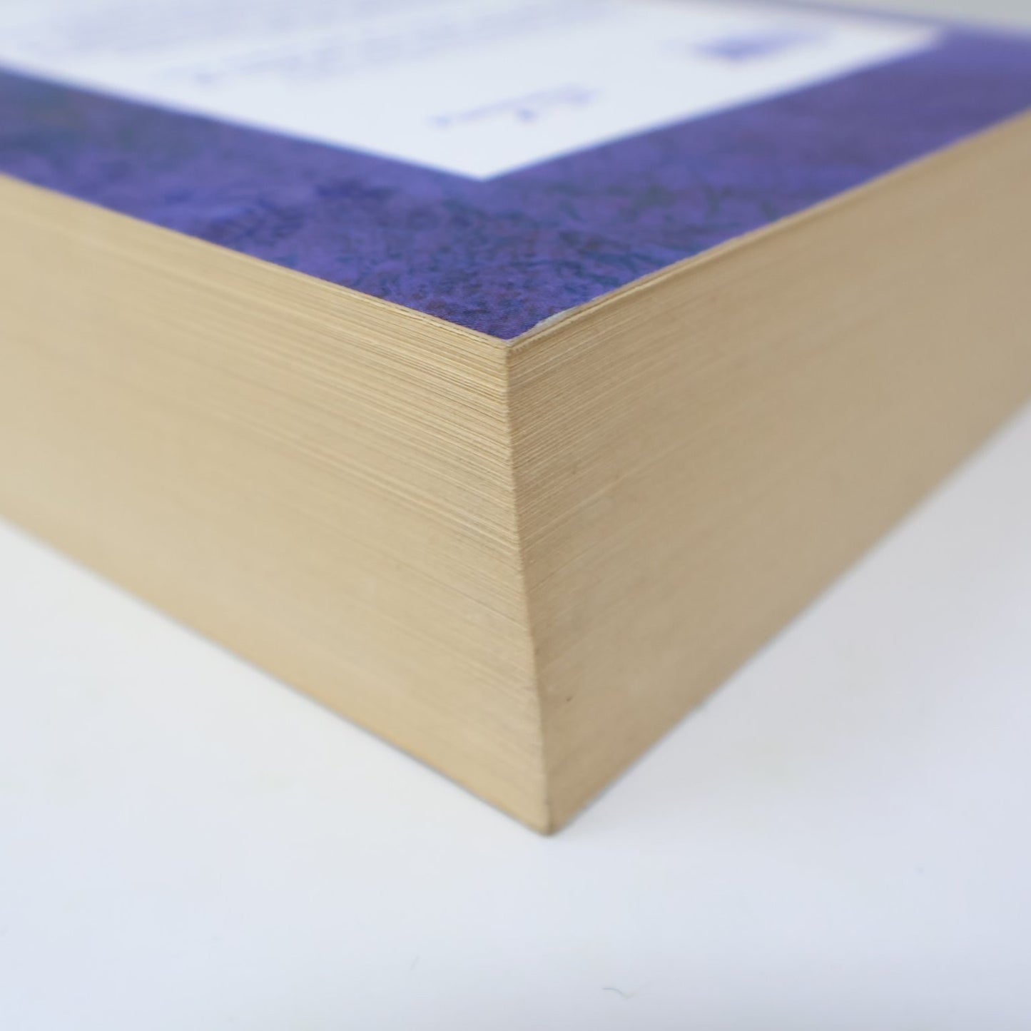 Un Parfum de Cèdre Ann-Marie MacDonald Livre 2015 Français Flammarion Québec PB