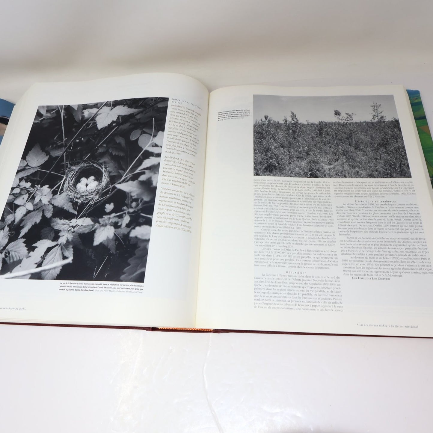Les Oiseaux Nicheurs du Québec Jean Gauthier 1995 Atlas Illustré Faune Birds