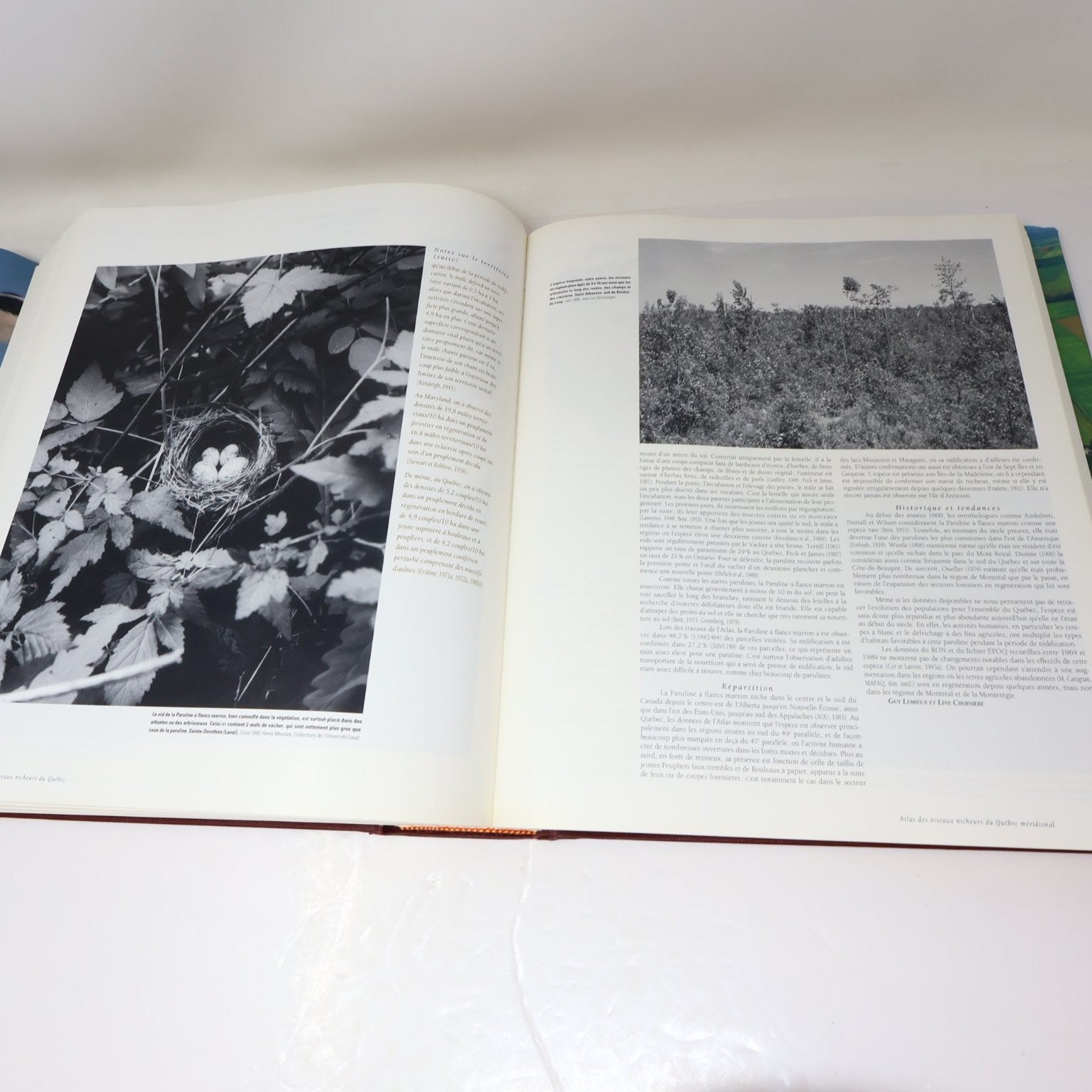 Les Oiseaux Nicheurs du Québec Jean Gauthier 1995 Atlas Illustré Faune Birds