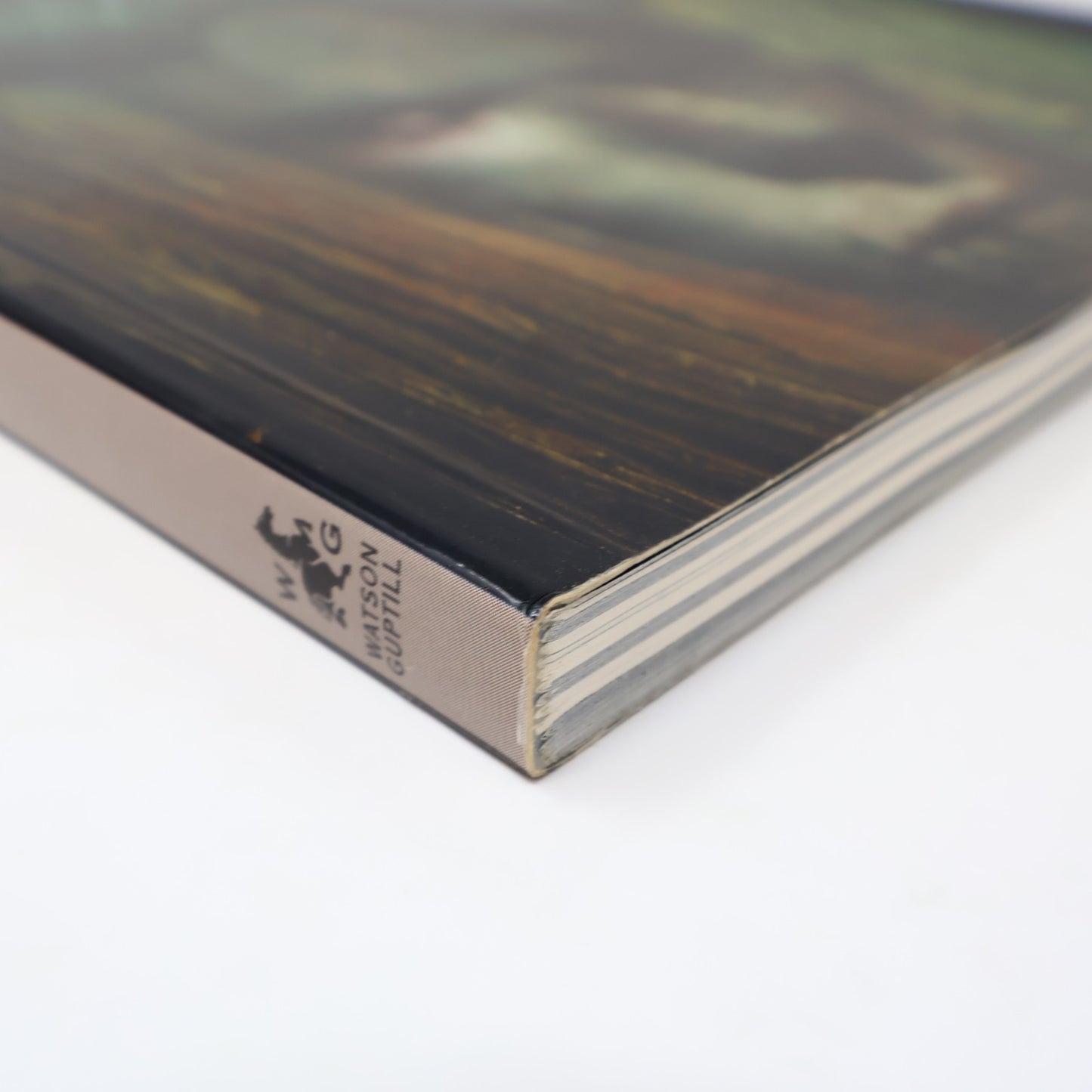 Dustcovers the Collected Sandman Covers 1989-1997 Dave Mckean/Neil Gaiman 1998