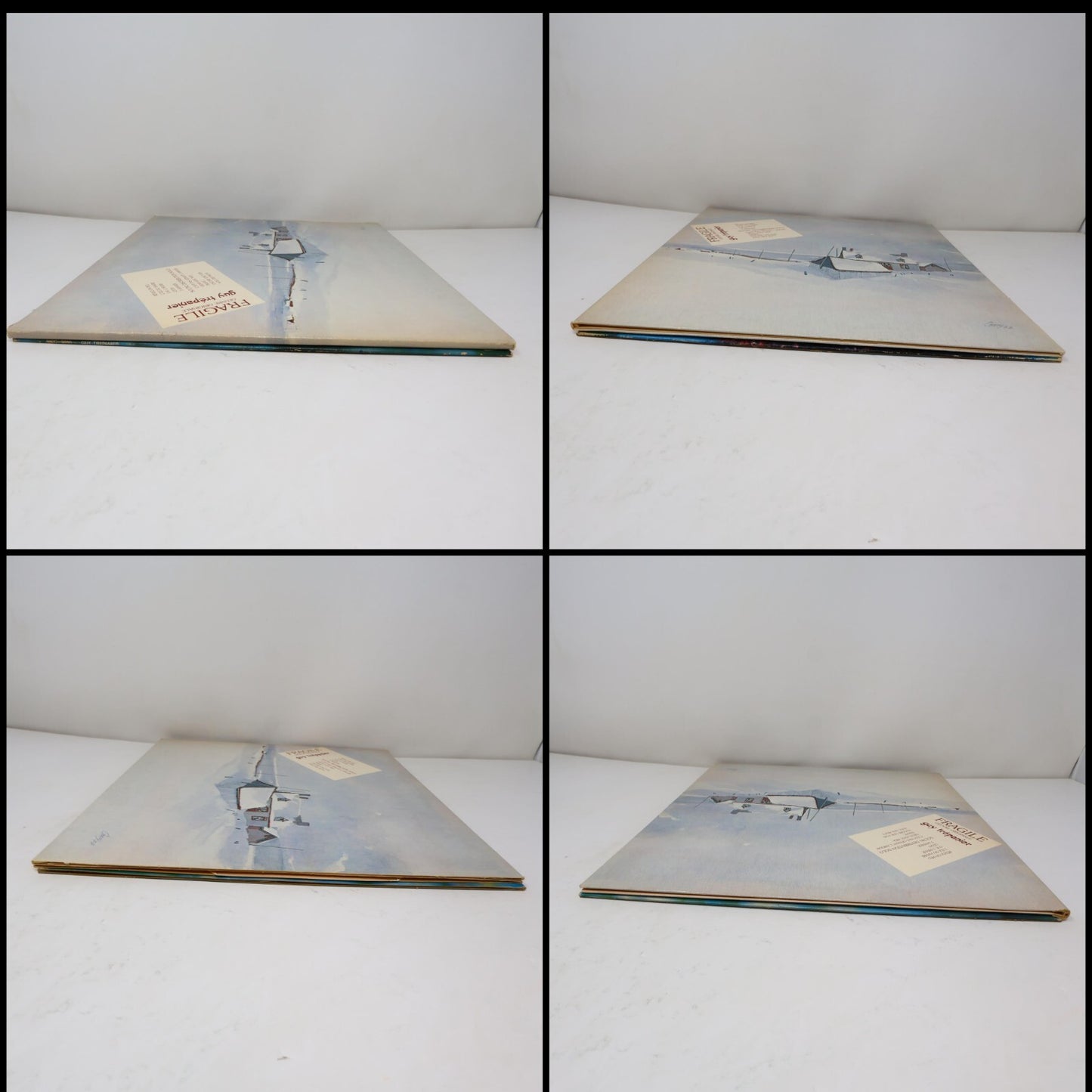 Guy Trépanier Lot 2 Disques LP Fragile L'hiver/Pour Un Gars Heureux Record Vinyl