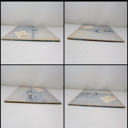 Guy Trépanier Lot 2 Disques LP Fragile L'hiver/Pour Un Gars Heureux Record Vinyl