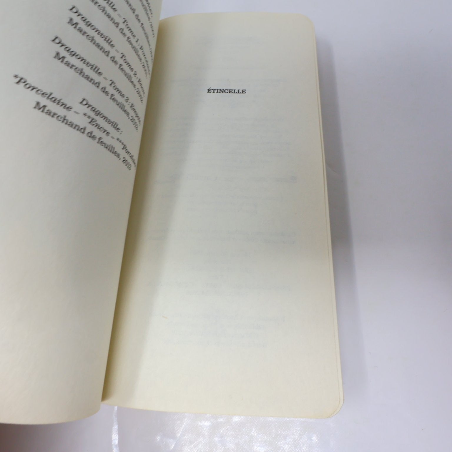 Étincelle Michèle Plomer 2016 Français Livre Edition Marchand de Feuilles