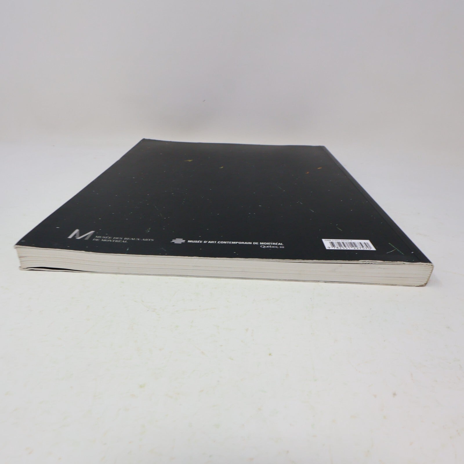 2005 Nicolas Baier Gilles Godmer Art Monographie d'Artiste Paperback Book 2000s
