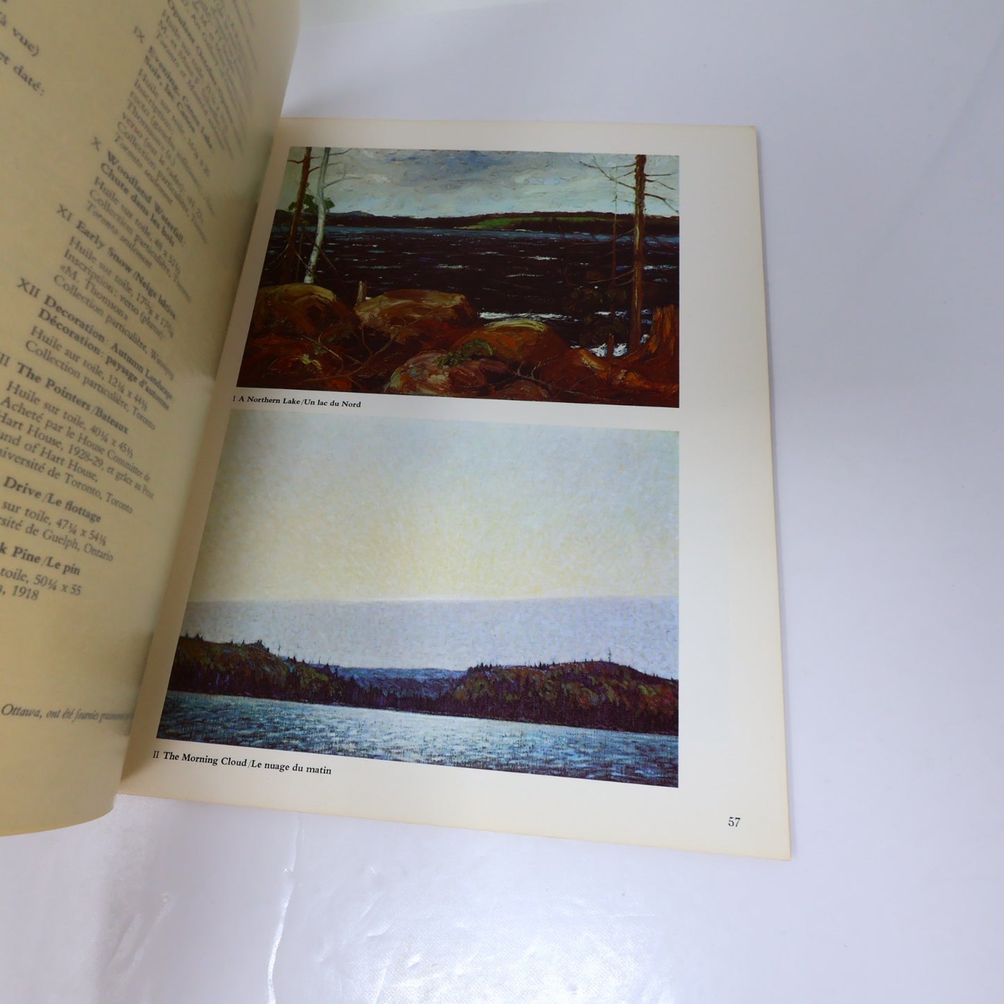 L'Art de Tom Thomson Art Gallery of Toronto 1972 Catalogue d'Exposition Français