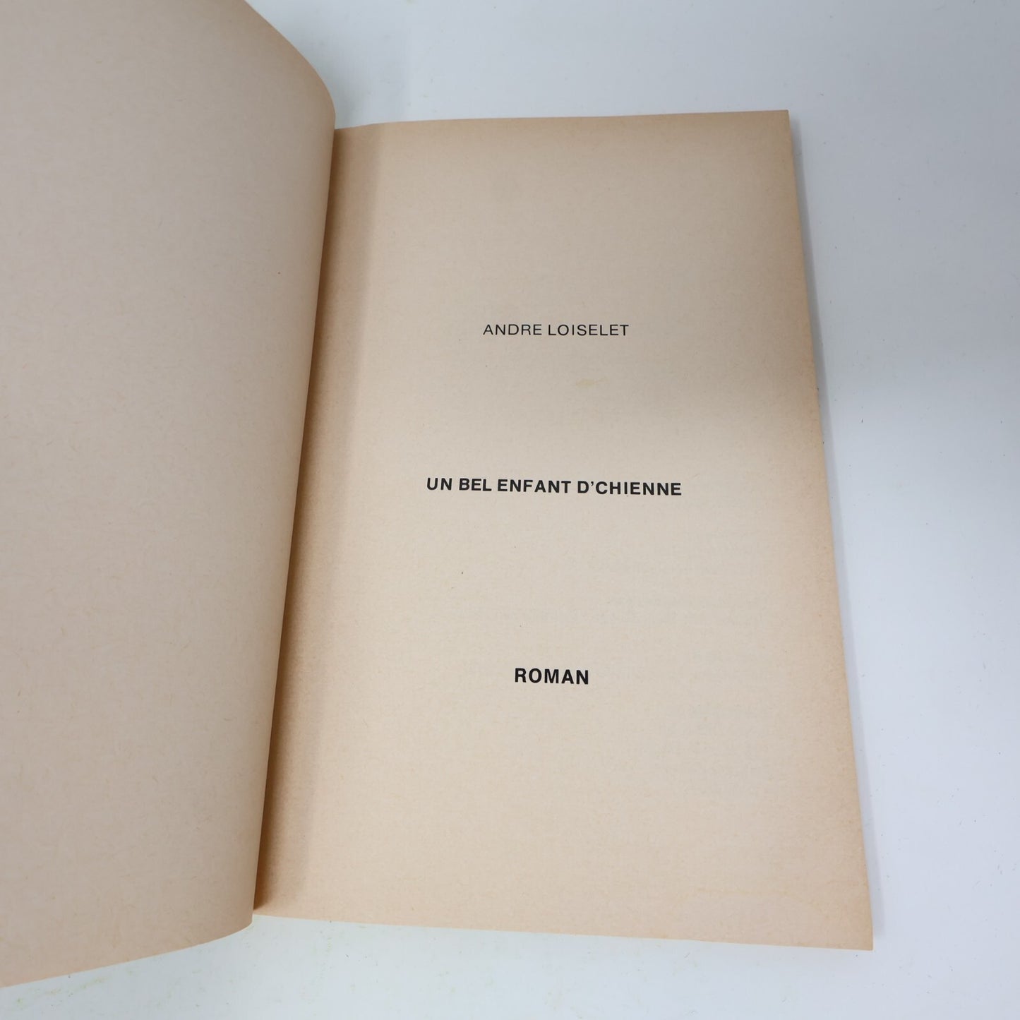 Un Bel Enfant d'Chienne André Loiselet Crime et Mystère Policier Humour 70s PB