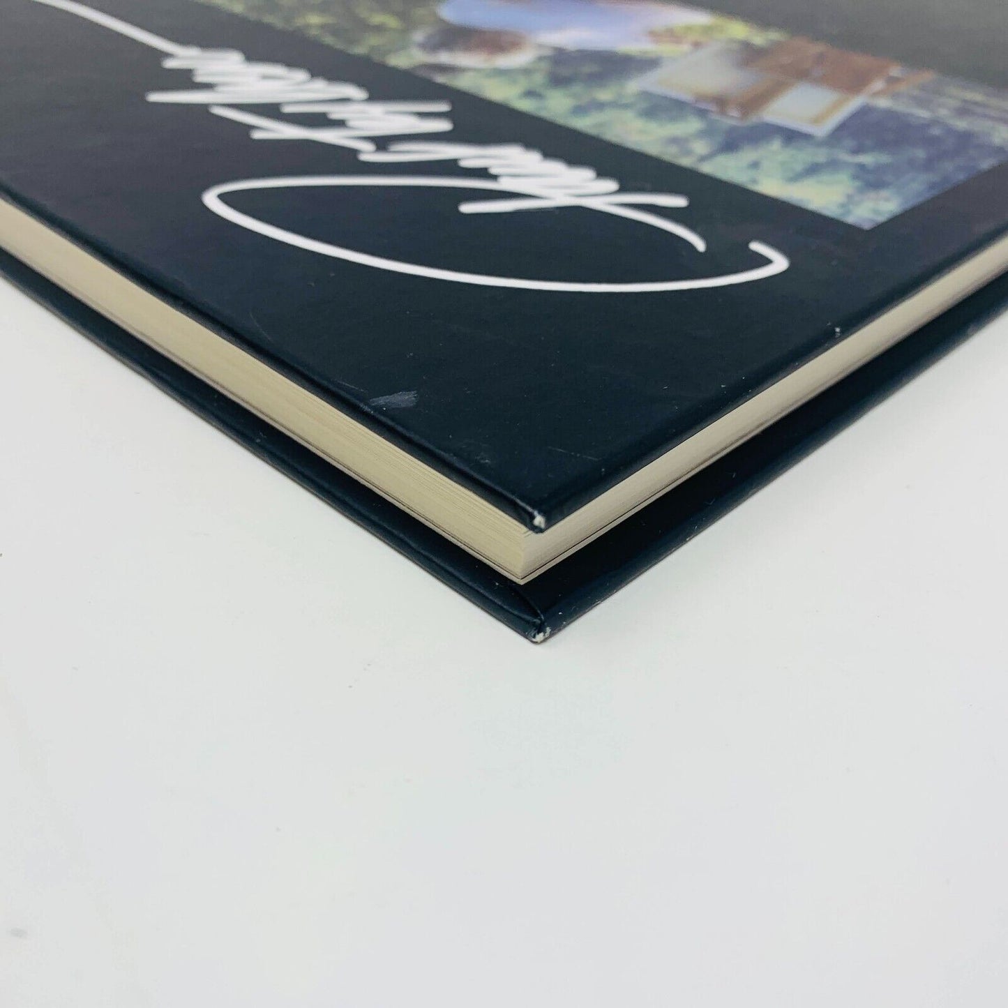 2013 Paul Tex Lecor Mon Monde Pour Vous Français/Anglais Livre sur Peintures Art