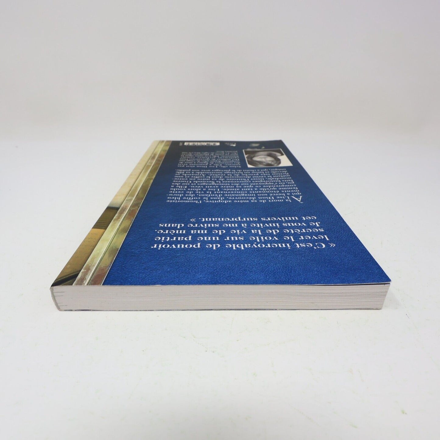 2011 Le Secret du Coffre Bleu Récit Lise Dion Littérature Québécoise Roman Livre