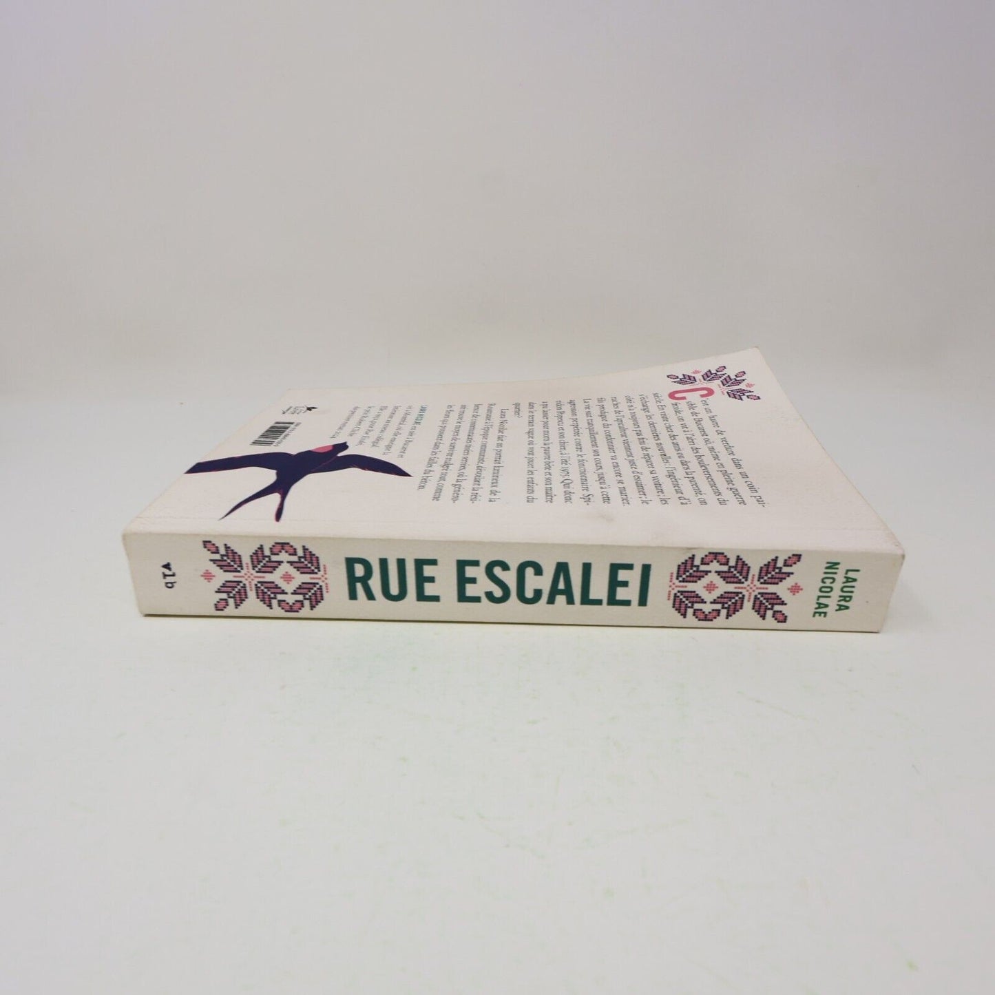 2024 Rue Escalei Laura Nicolae Littérature Québécoise Roman Vlb Français Livre