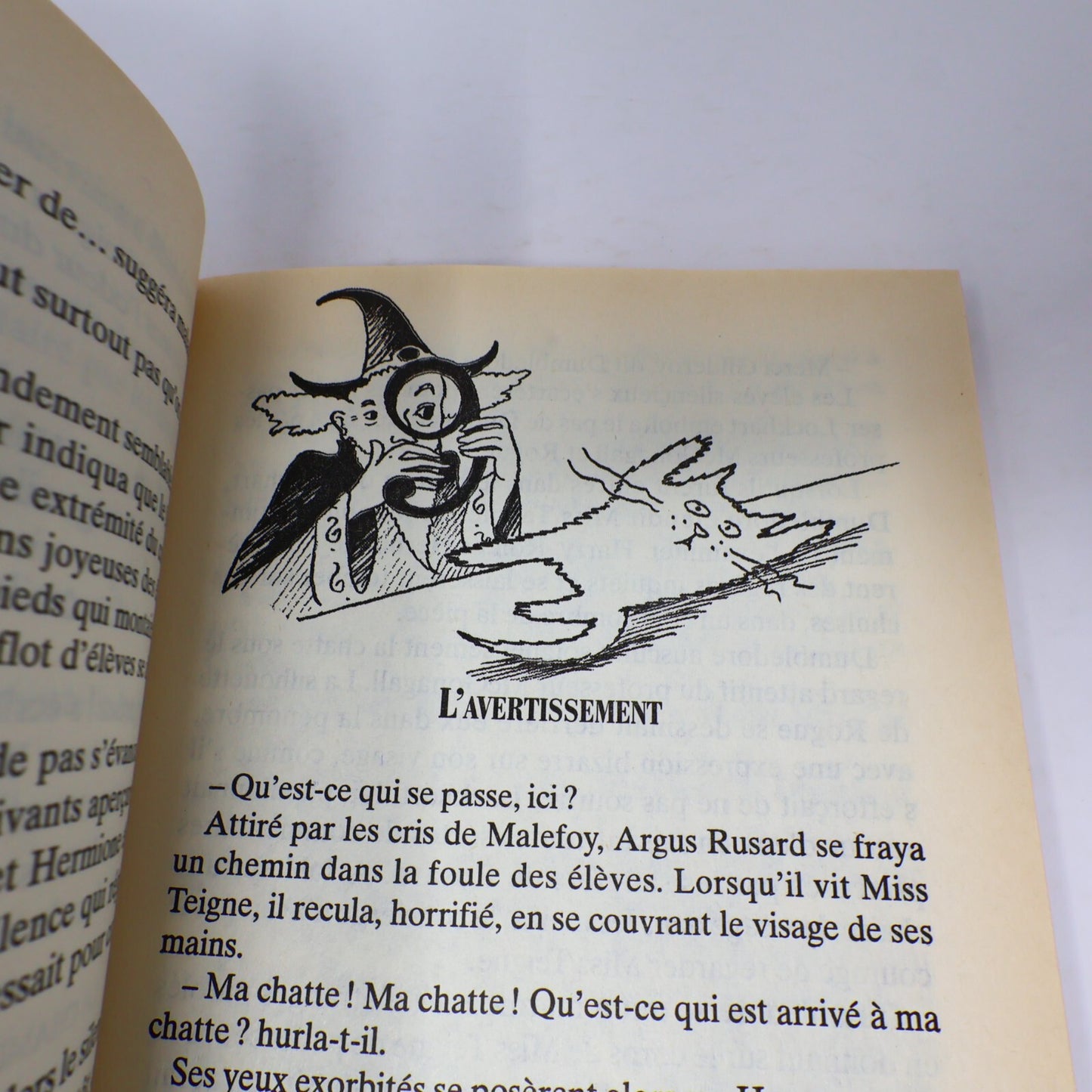 Harry Potter et la Chambre des Secrets Livre Première Édition Illustrée Mar 1999