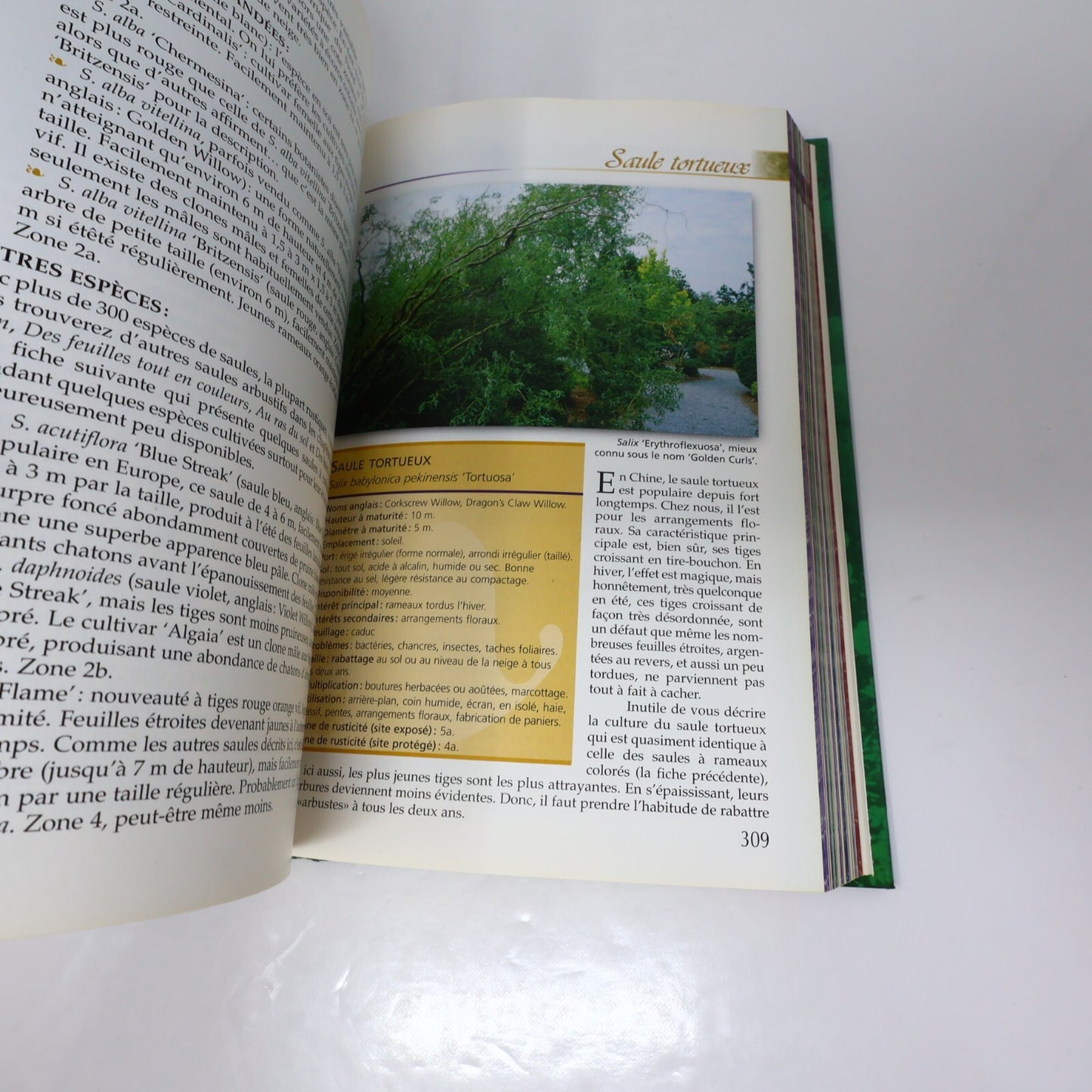Le Jardinier Paresseux Lot 5 Livres Larry Hodgson Arbustes/Annuelles/Vivaces