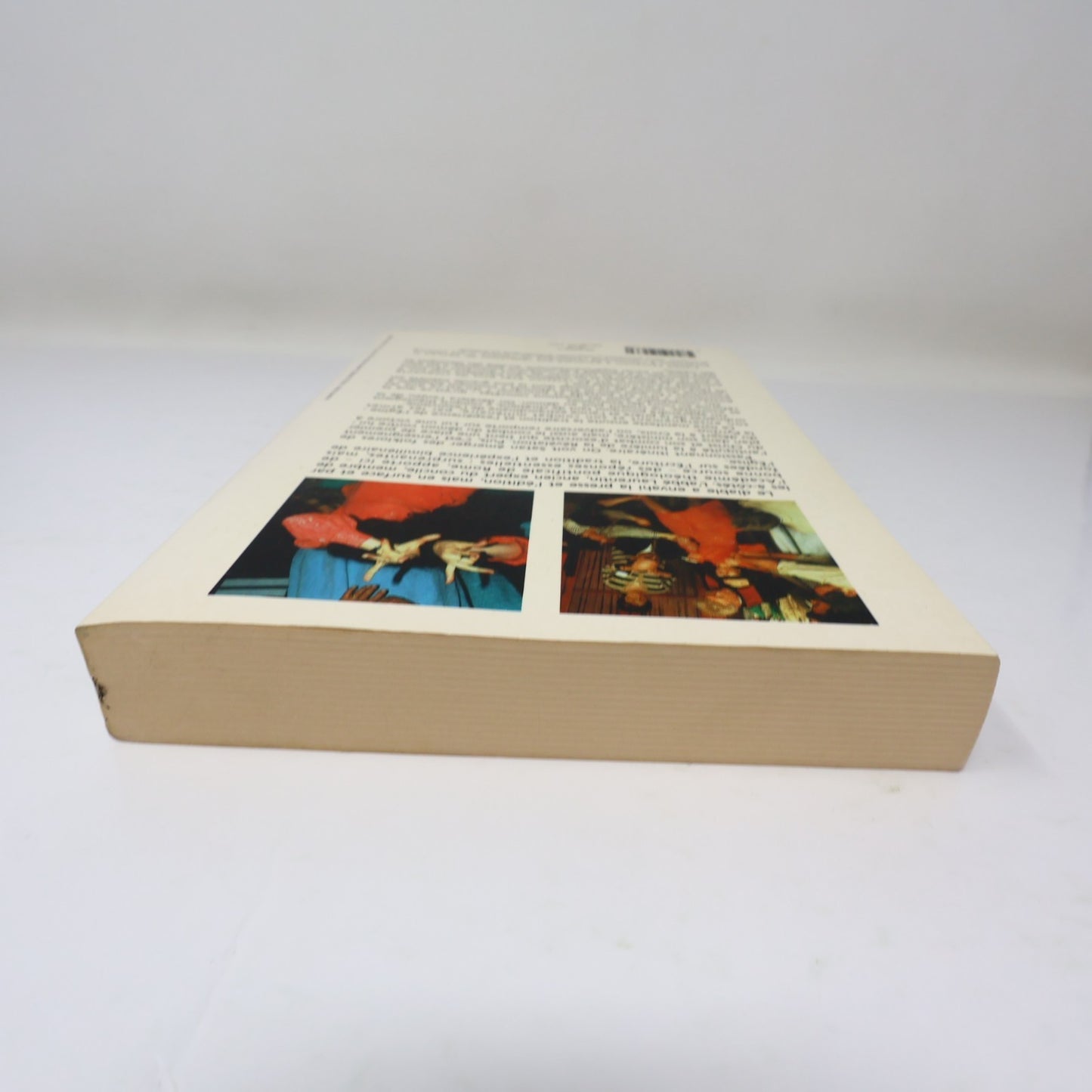 Le Démon Mythe ou Réalité? René Laurentin 1995 PB Fayard Français Paperback 90s