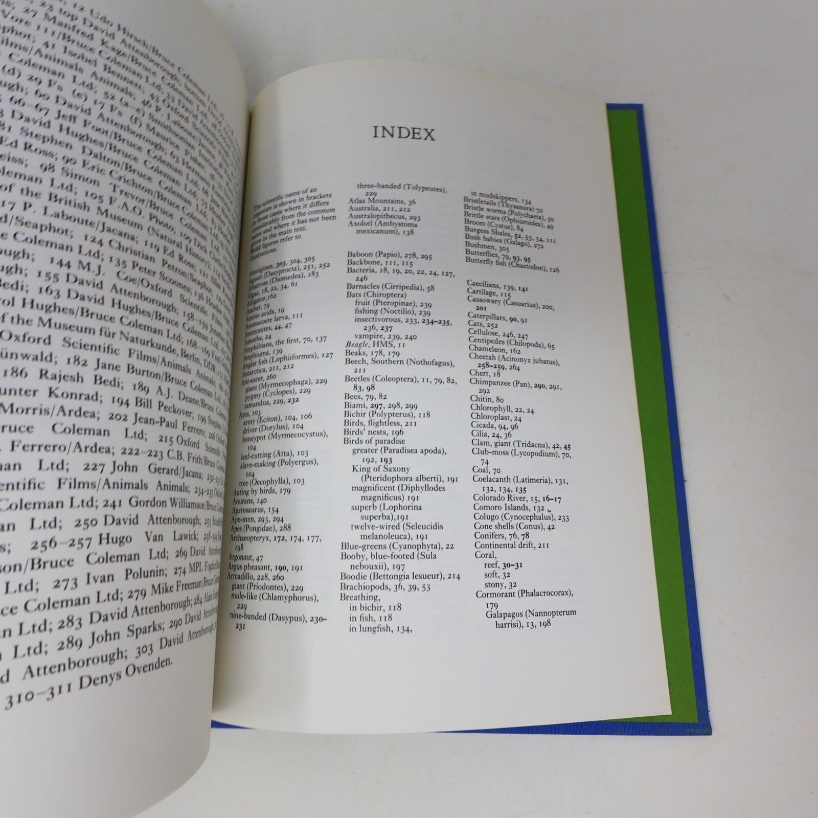 1979 Life on Earth a Natural History David Attenborough Little Brown Nature Book