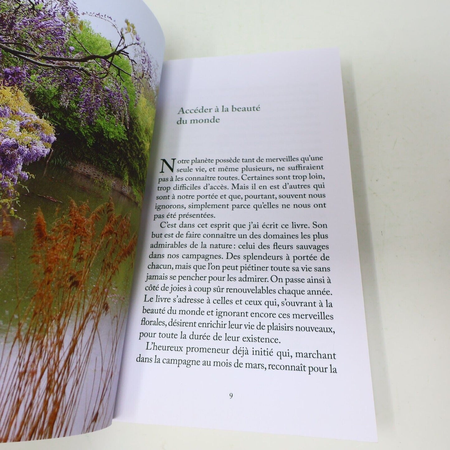 2017 J'ai Vu une Fleur Sauvage l'Herbier de Malicorne Hubert Reeves Seuil Nature