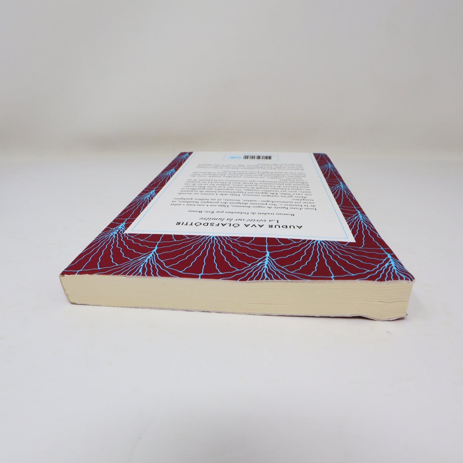 La vérité sur la lumière Audur Ava Ólafsdóttir 2021 Français/French Edition
