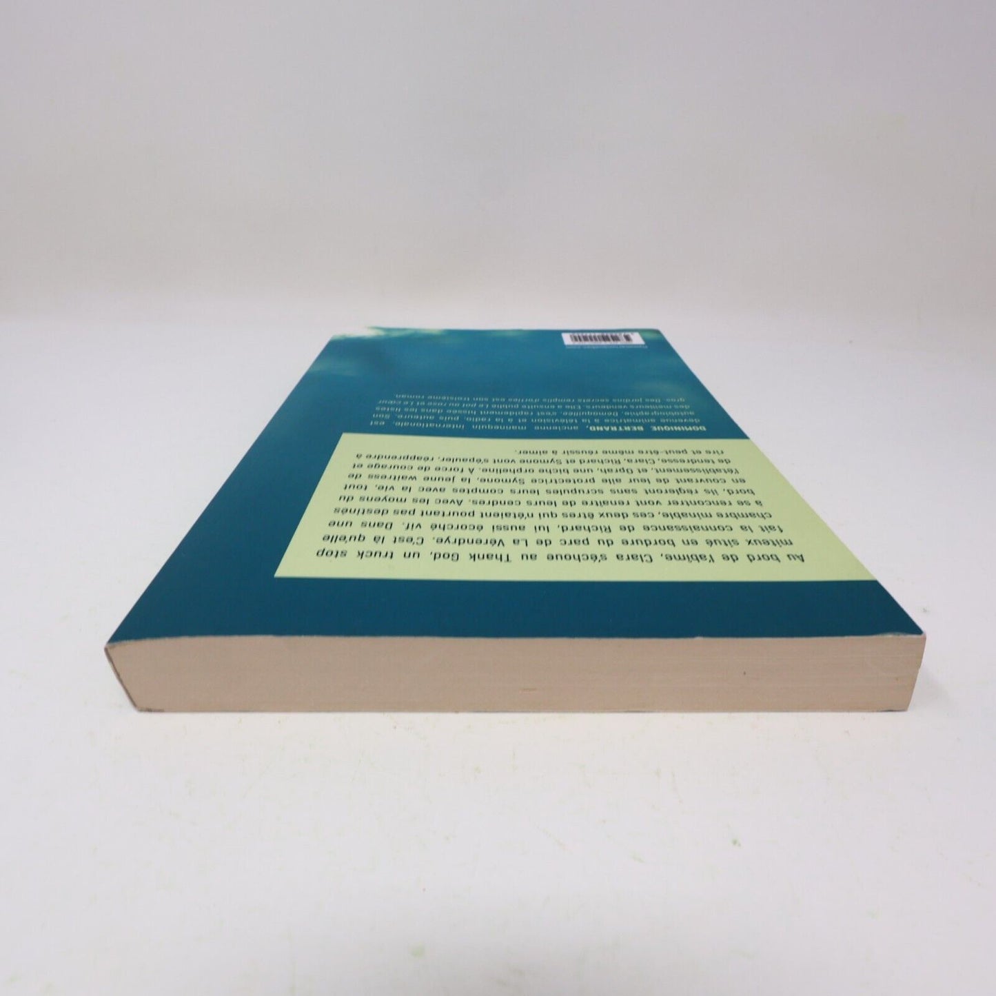 2023 Des Jardins Secrets Remplis d'Orties Roman Dominique Bertrand Flammarion PB