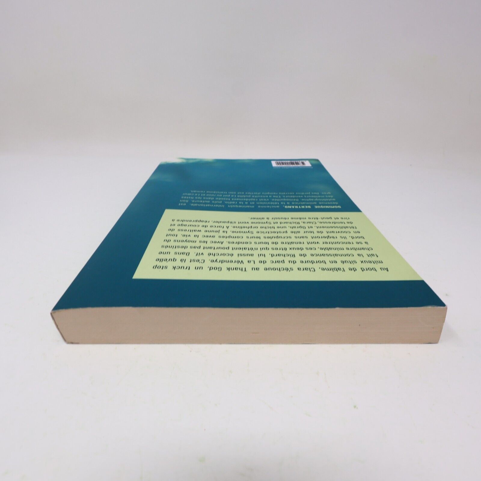 2023 Des Jardins Secrets Remplis d'Orties Roman Dominique Bertrand Flammarion PB