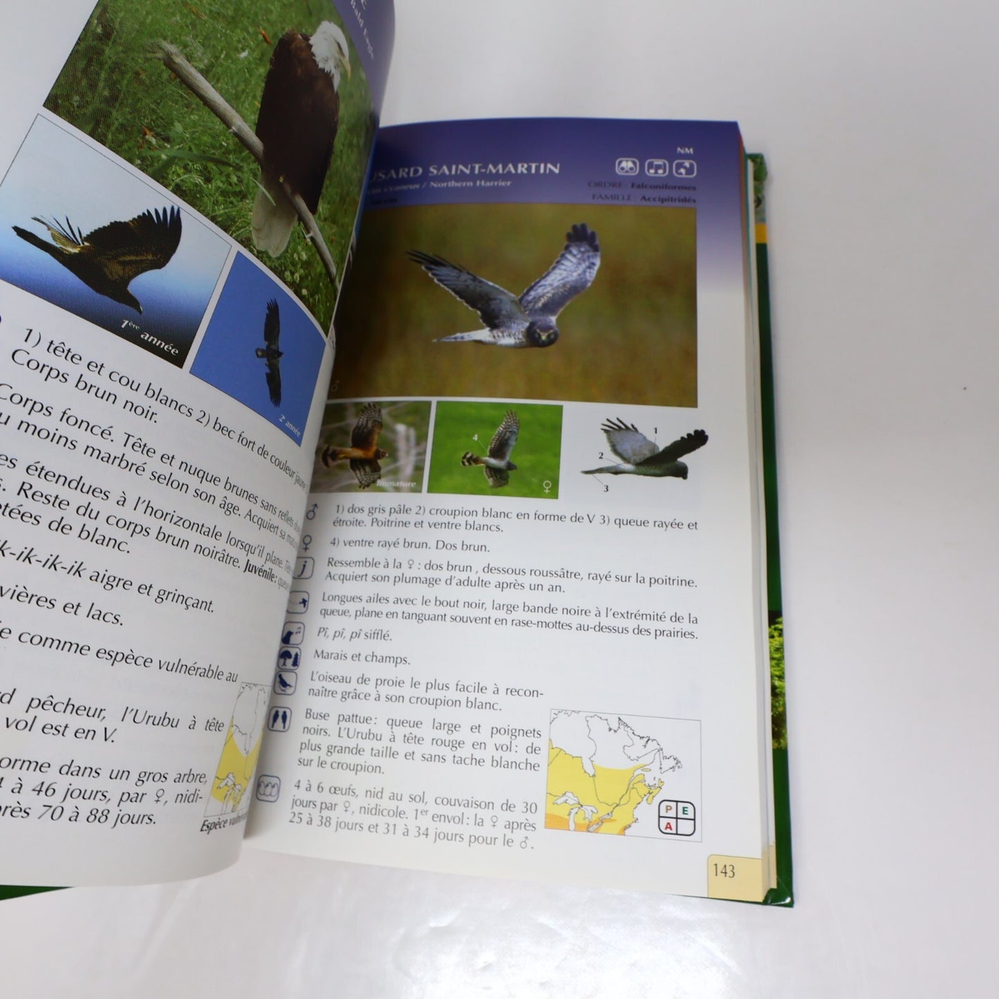 Suzanne Brûlotte Lot 3 Livres Les Oiseaux du Québec Guide d'Identification Books
