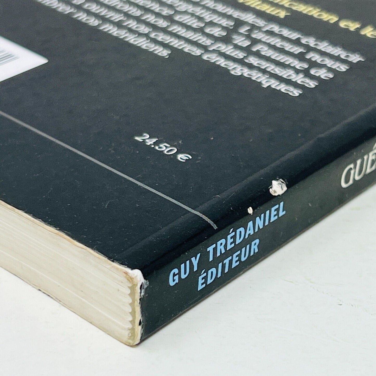2002 Guérison par le Chi Kung Taoïste de Mantak Chia Français/French Trédaniel