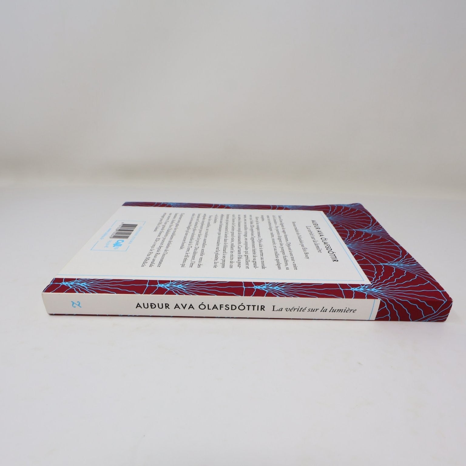 La vérité sur la lumière Audur Ava Ólafsdóttir 2021 Français/French Edition