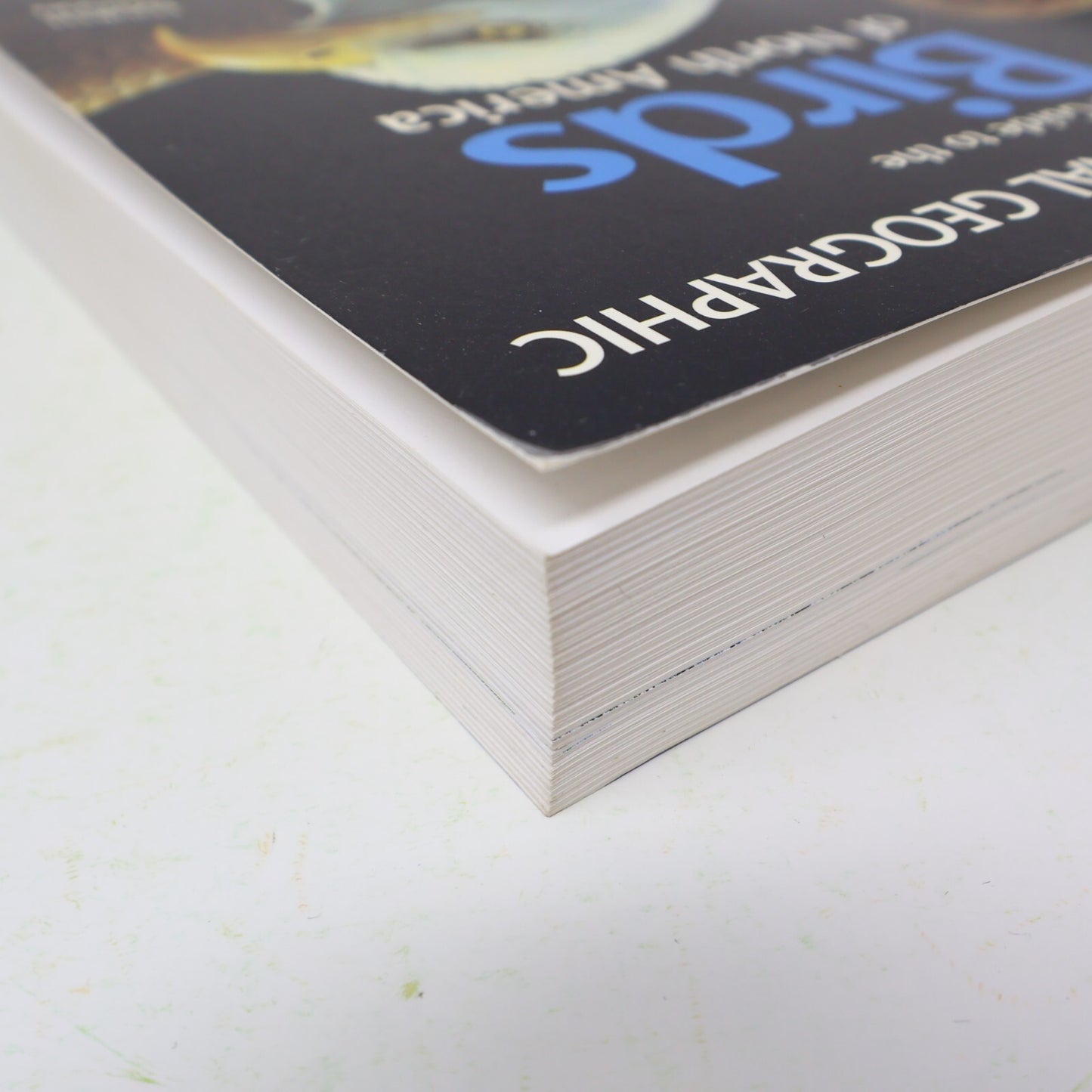 2002 Field Guide to the Birds of North America National Geographic Society Book