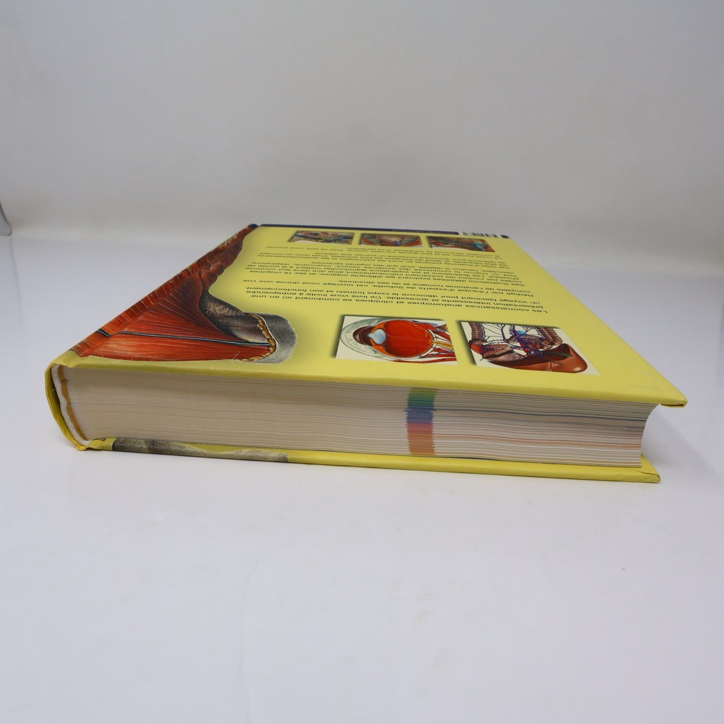 Atlas d'Anatomie Sobotta Ullman 2010 HC Français/French 600 Illustrations Livre