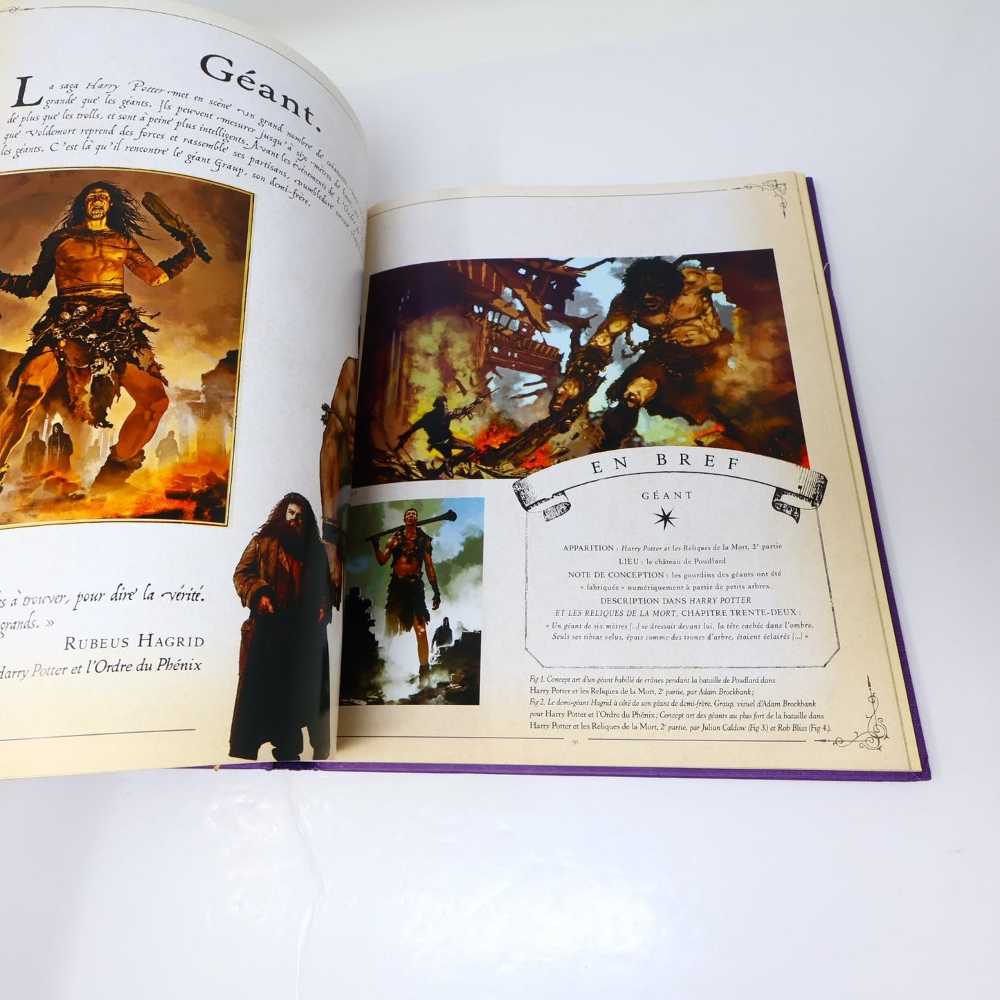 Harry Potter Le Grand Livre Des Créatures 2014 Français/French HC Jody Revenson