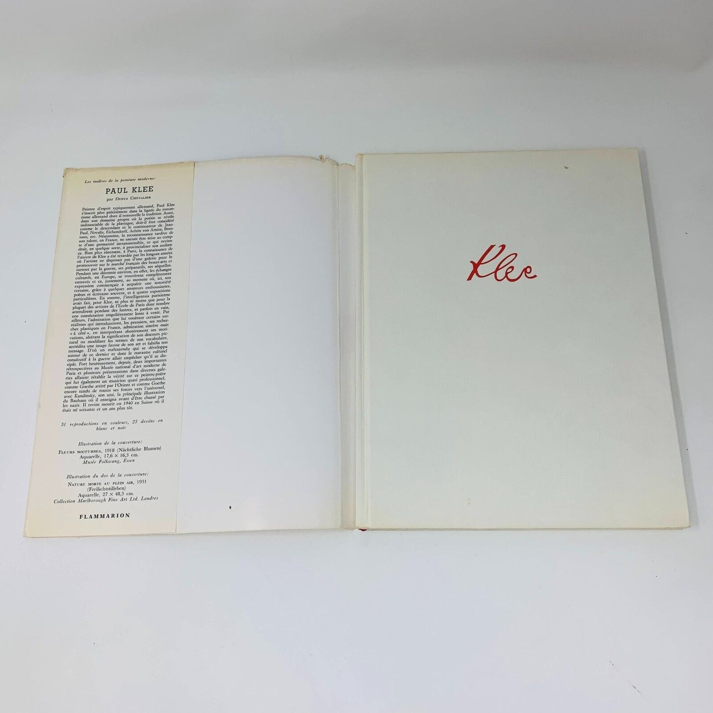 1971 Paul Klee par Denys Chevalier Flammarion Français/French Art Peinture HC DJ