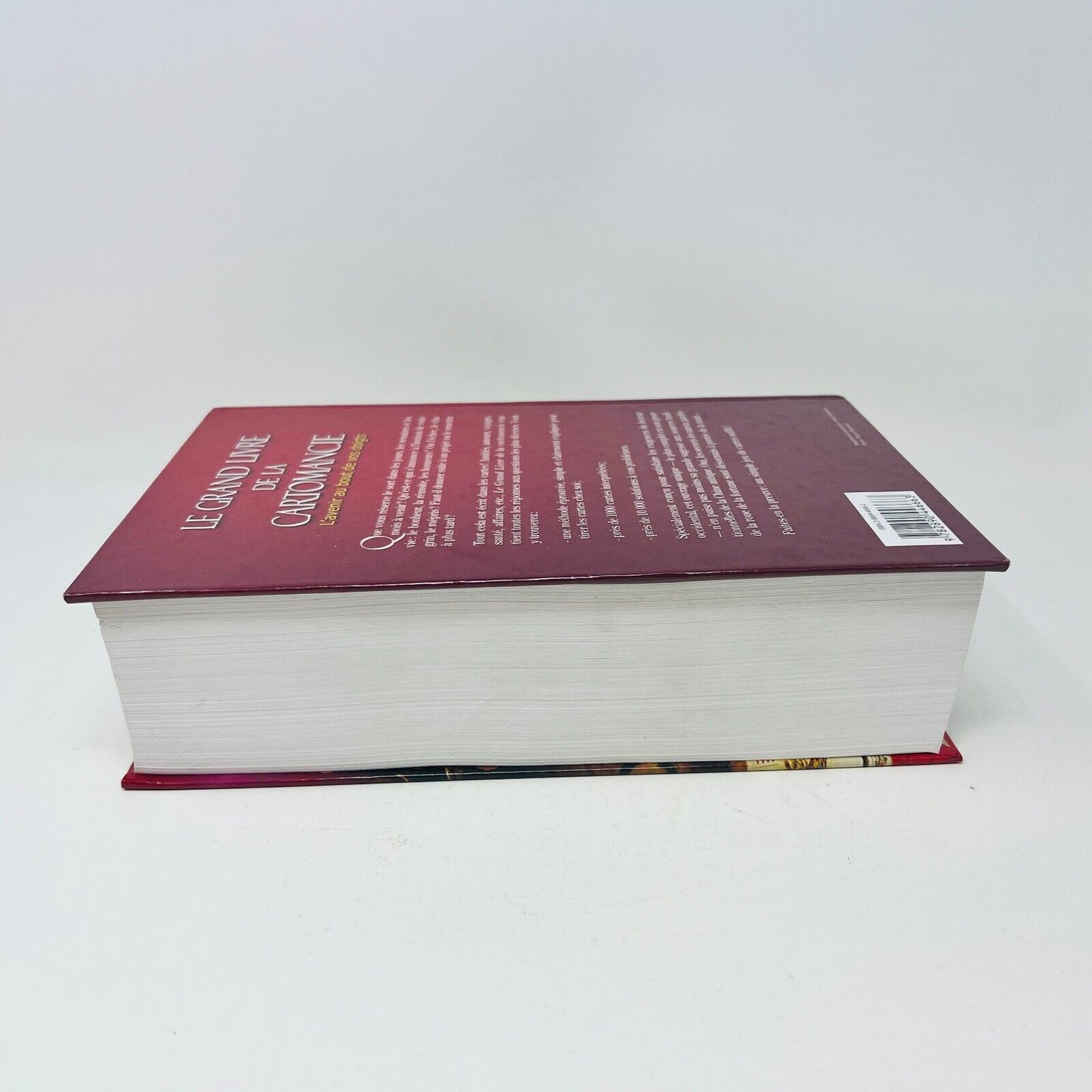 1999 Le Grand Livre de la Cartomancie de Gerhard von Lentner en Français Avenir