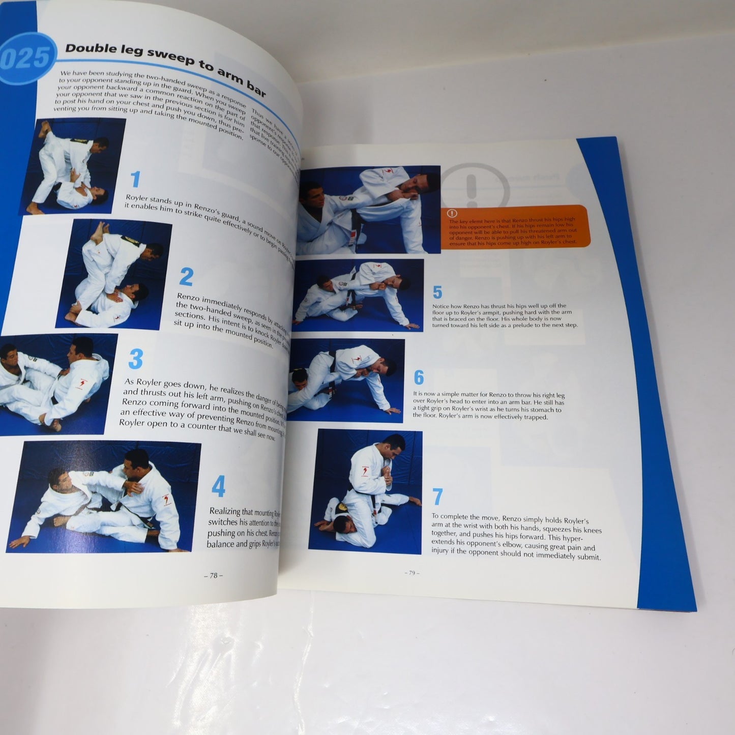 Brazilian Jiu-Jitsu Theory & Technique Renzo & Royler Gracie 2001 PB Sport Book
