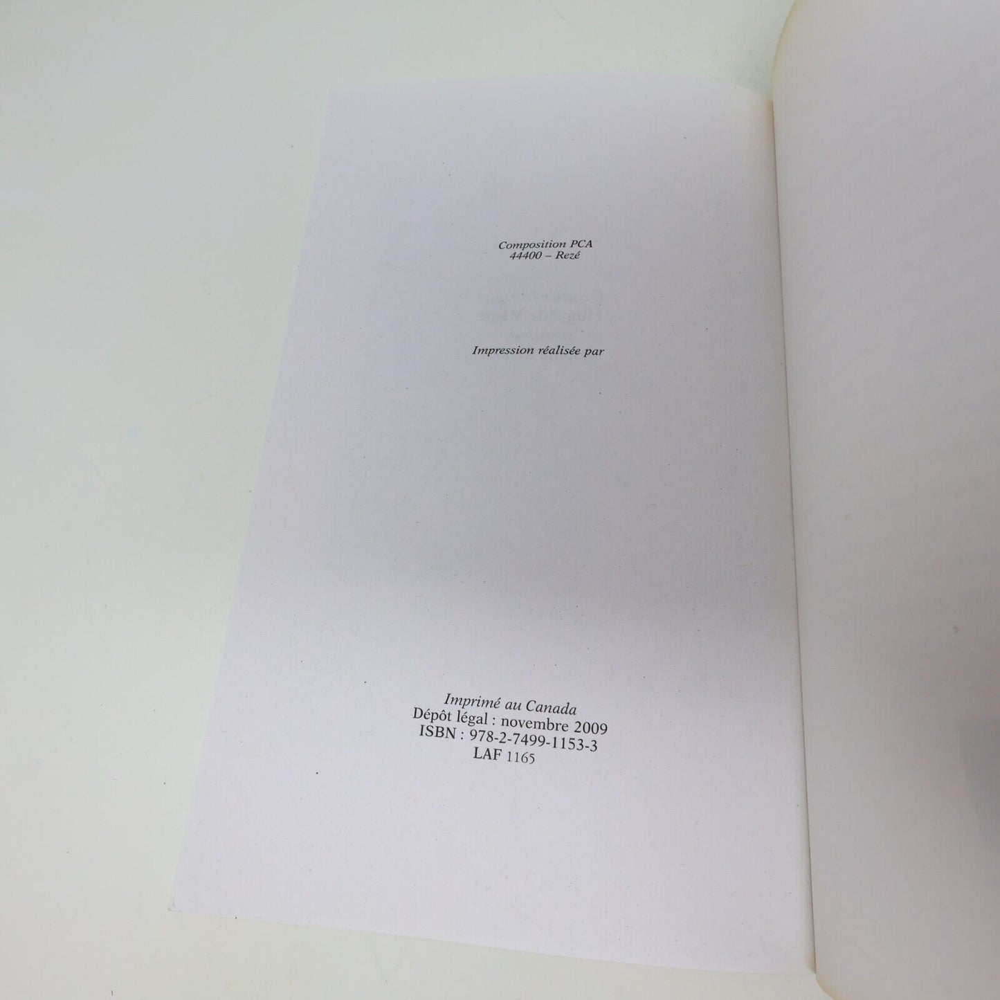 2009 Mots de Tête Diane Dufresne Biographie Musique Chanson Michel Lafon Livre