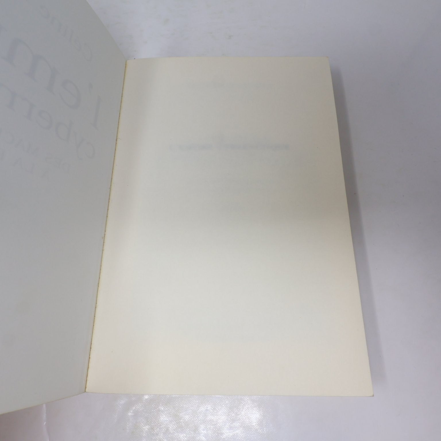 L'empire Cybernétique Céline Lafontaine 2004 Philosophie Pensée Machine Seuil