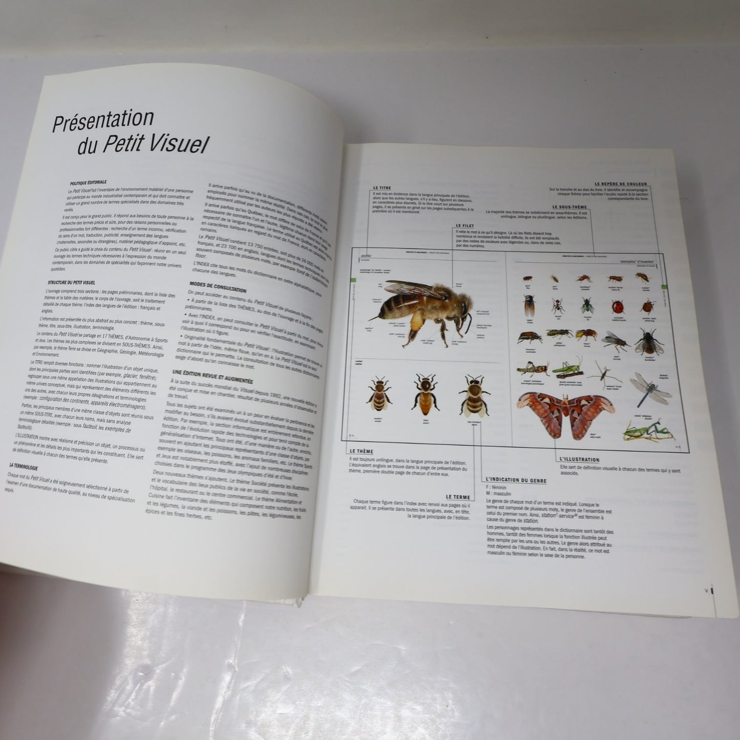 Le Petit Visuel Dictionnaire Français/Anglais Ouvrage de Référence Éducation HC