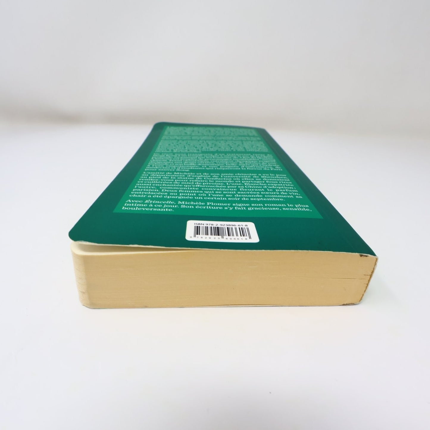 Étincelle Michèle Plomer 2016 Français Livre Edition Marchand de Feuilles