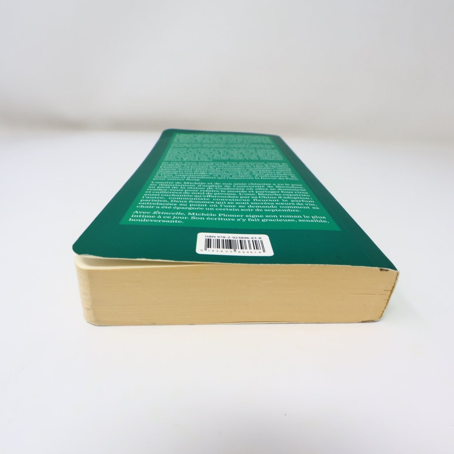 Étincelle Michèle Plomer 2016 Français Livre Edition Marchand de Feuilles