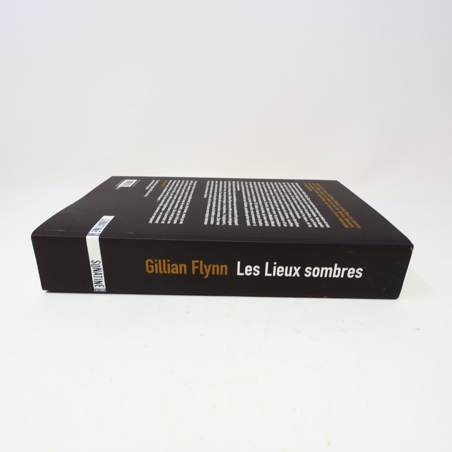 2009 Les Lieux Sombres Gillian Flynn Sonatine Crime et Mystère Policier Thriller