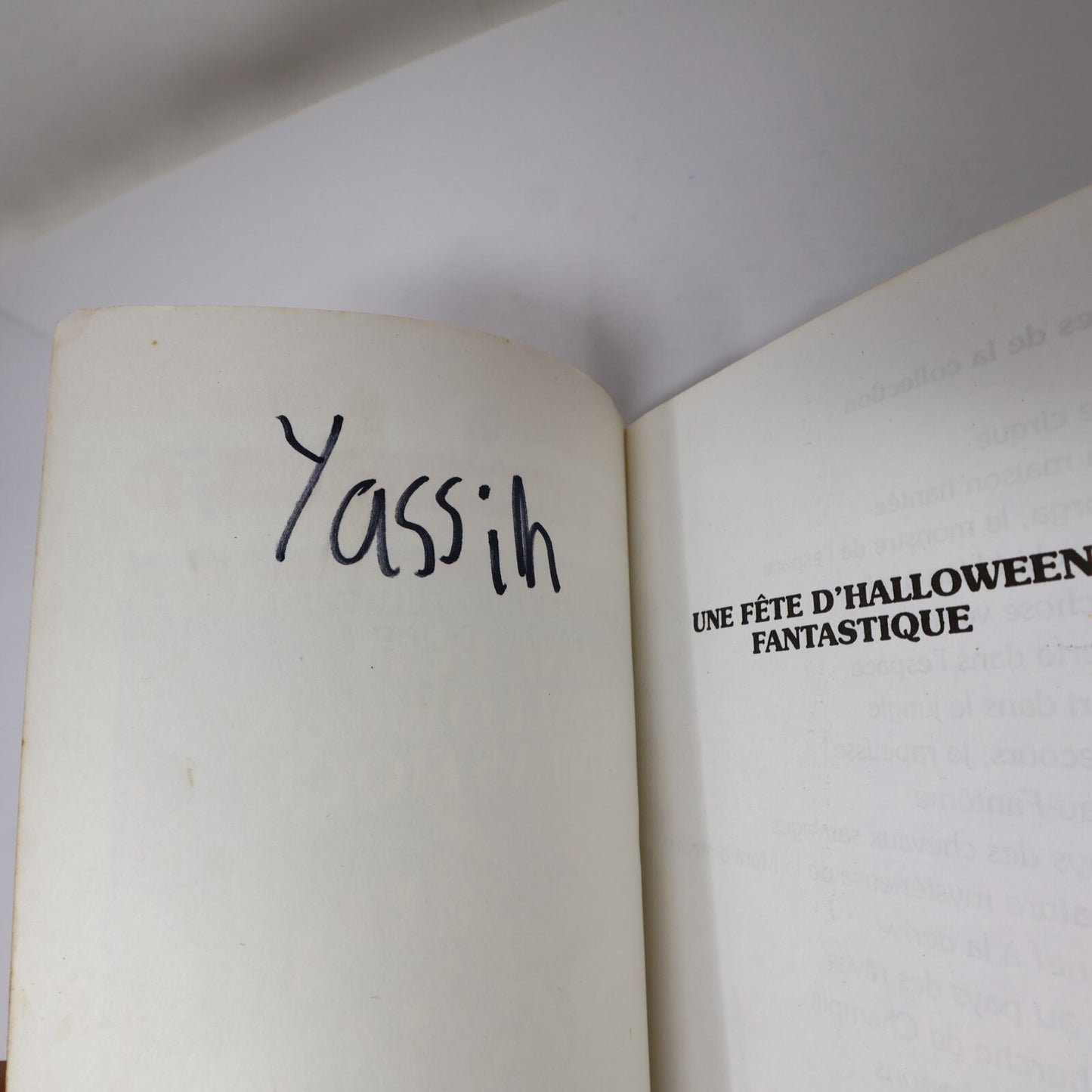 Choisis ta Propre Aventure #24 Une Fête d'Halloween Fantastique Susan Saunders