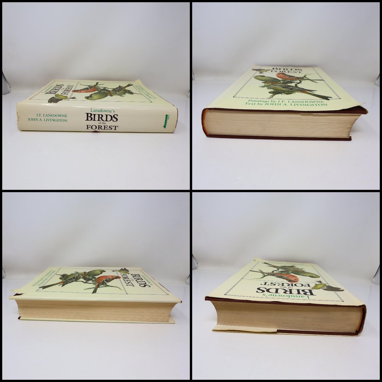 Lansdowne's Birds of the Forest John A. Livingston 1989 Illustrated Arrowood HC