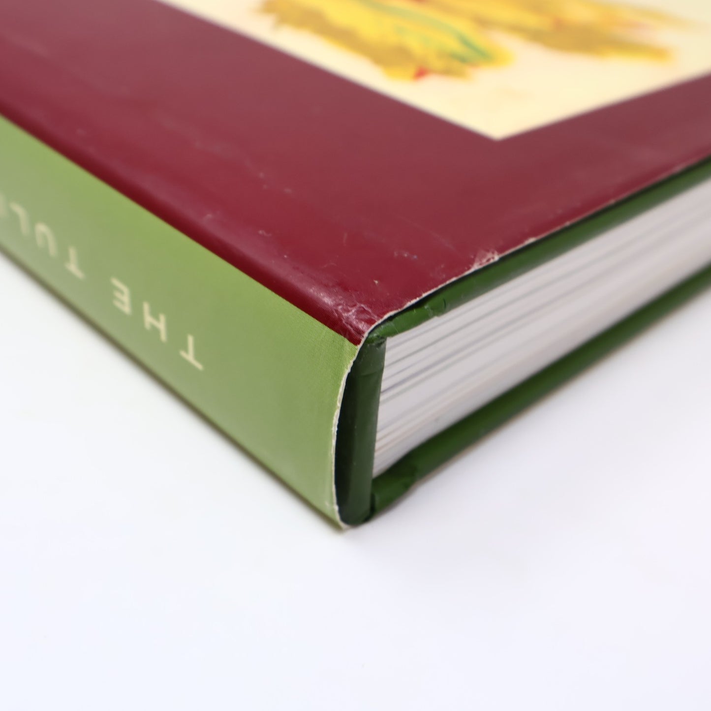 The Tulip Anthology Ron Van Dongen Chronicle Books 2010 HC DJ Art Photography