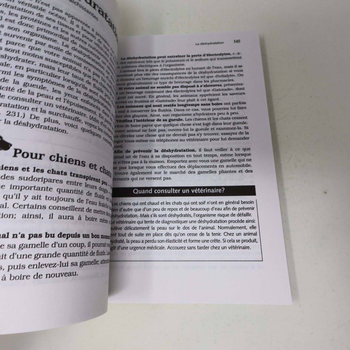 2001 Guide Vétérinaire des Chiens et Chats Plus de 1000 Remèdes Maison Animaux