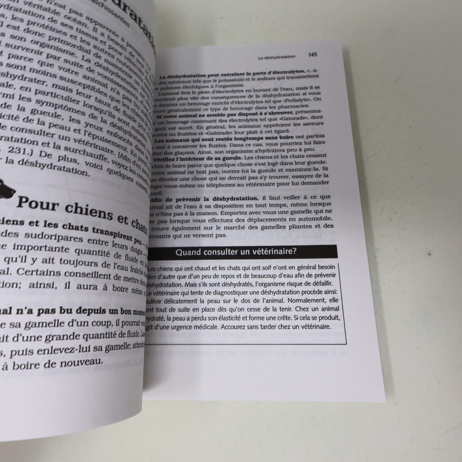 2001 Guide Vétérinaire des Chiens et Chats Plus de 1000 Remèdes Maison Animaux