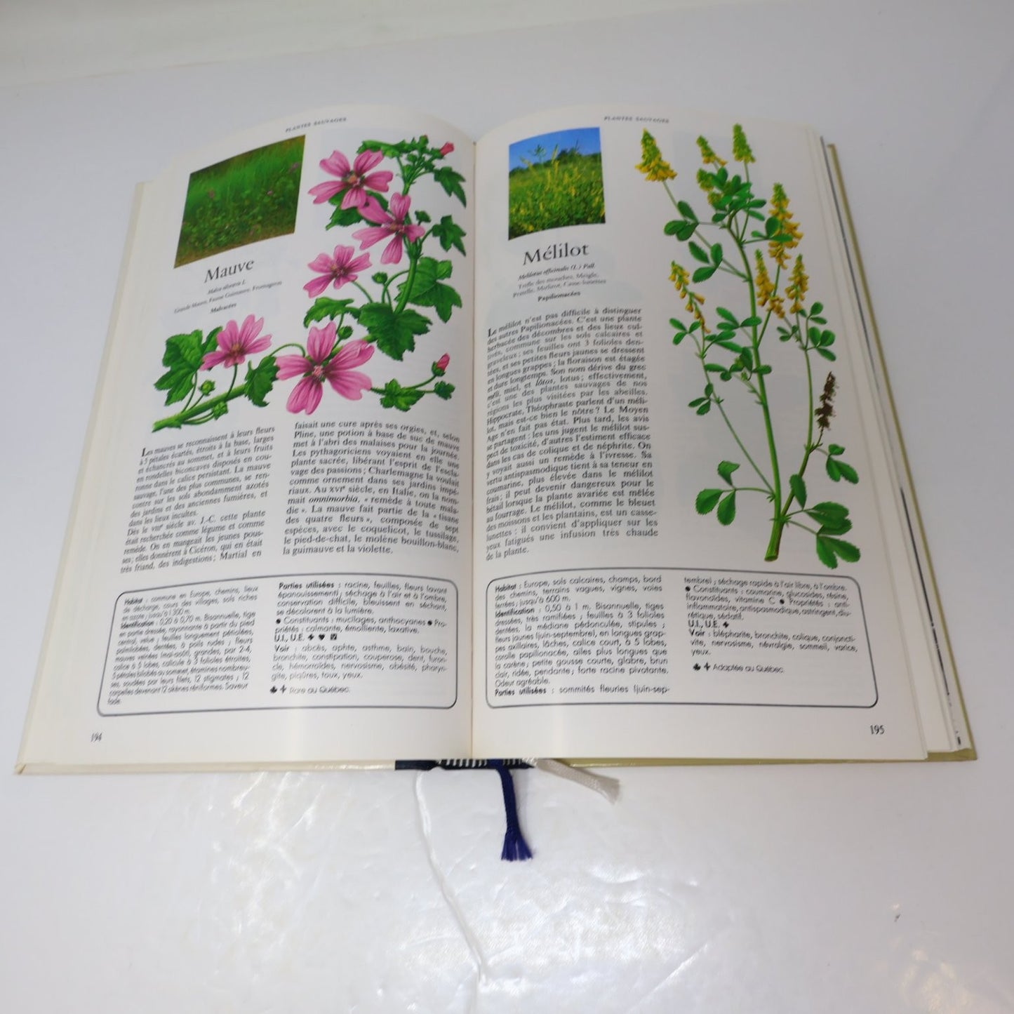 Secrets et vertus des plantes médicinales 1985 Reader's Digest Français/French