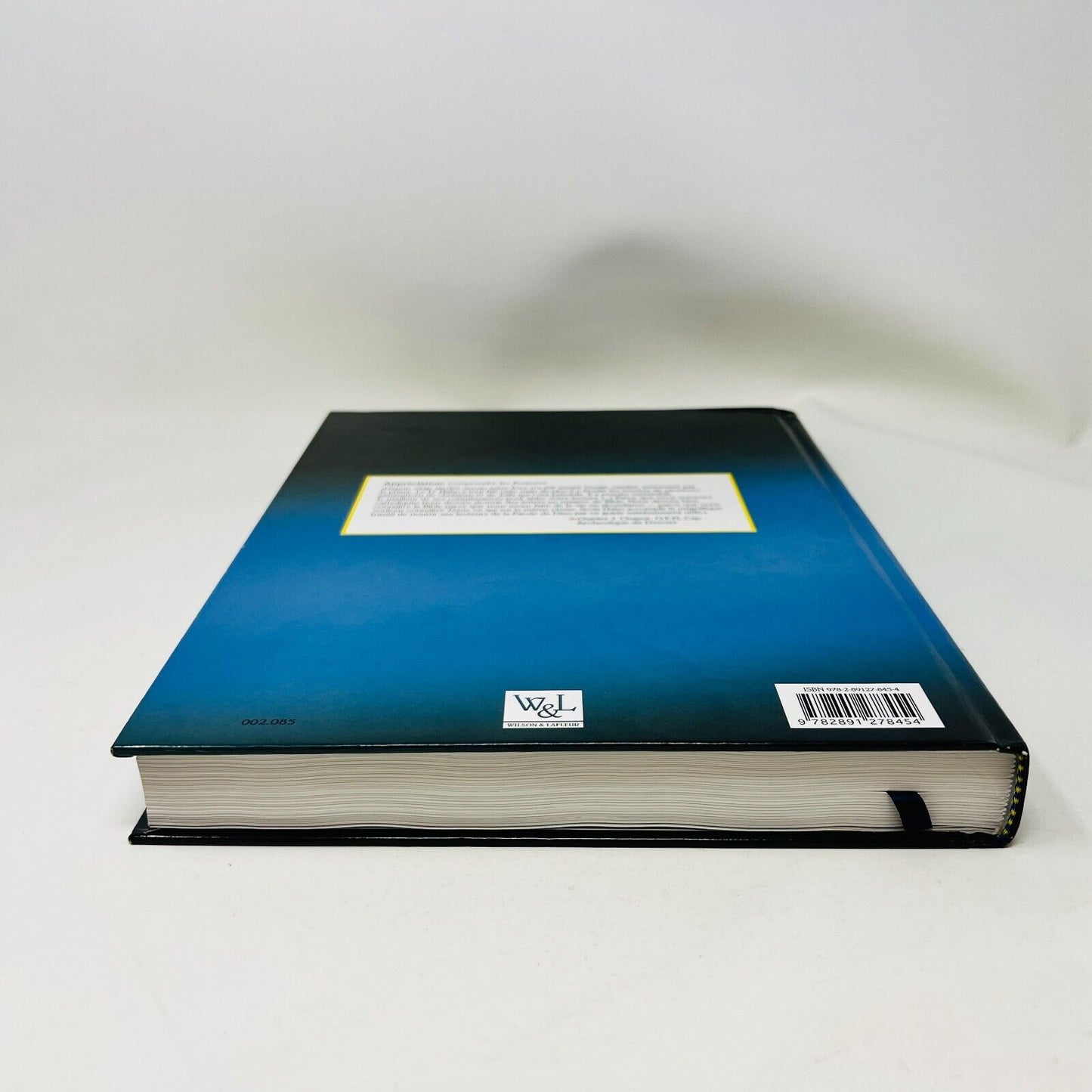2008 Comprendre les Écritures Introduction à la Bible de Scott Hahn W&L Français