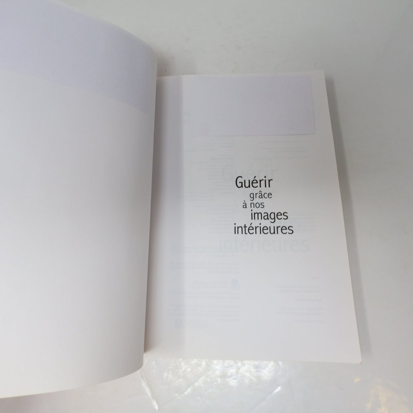 Guérir grâce à nos images intérieures Labonté/Bornemisza 2006 Psychologie PB