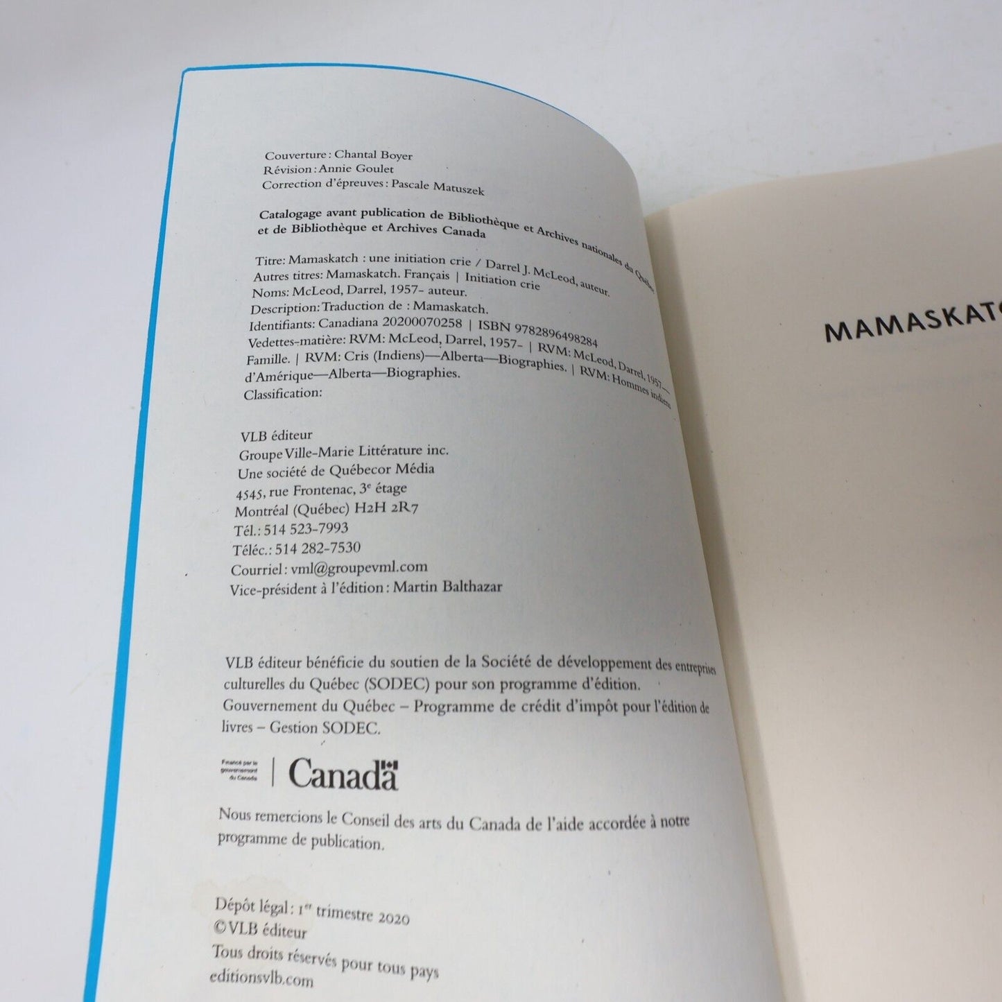 2020 Mamaskatch une Initiation Crie Darrel J. Mcleod Biographie Canada Vlb Livre
